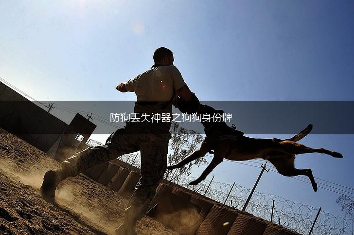 防狗丢失神器之狗狗身份牌,第1张