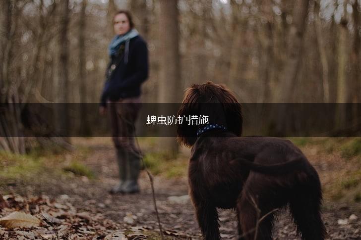 蜱虫防护措施,第1张