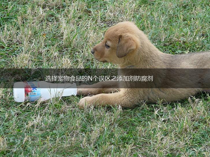 选择宠物食品的N个误区之添加剂防腐剂,第1张