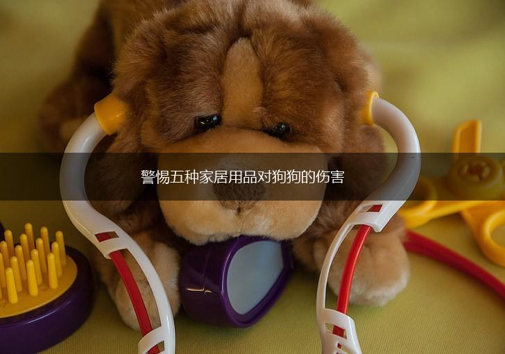 警惕五种家居用品对狗狗的伤害,第1张