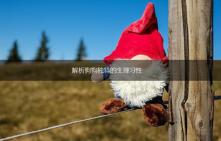 解析狗狗独特的生理习性,第1张