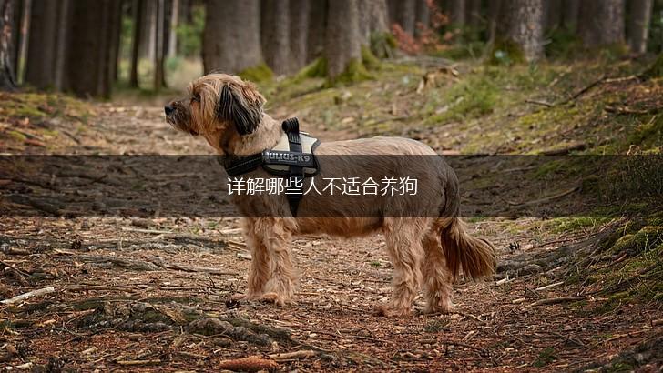 详解哪些人不适合养狗,第1张