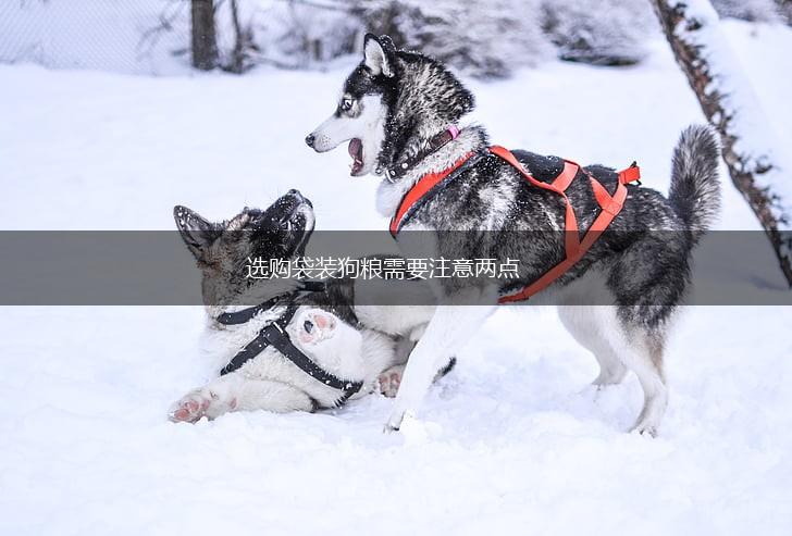 选购袋装狗粮需要注意两点,第1张