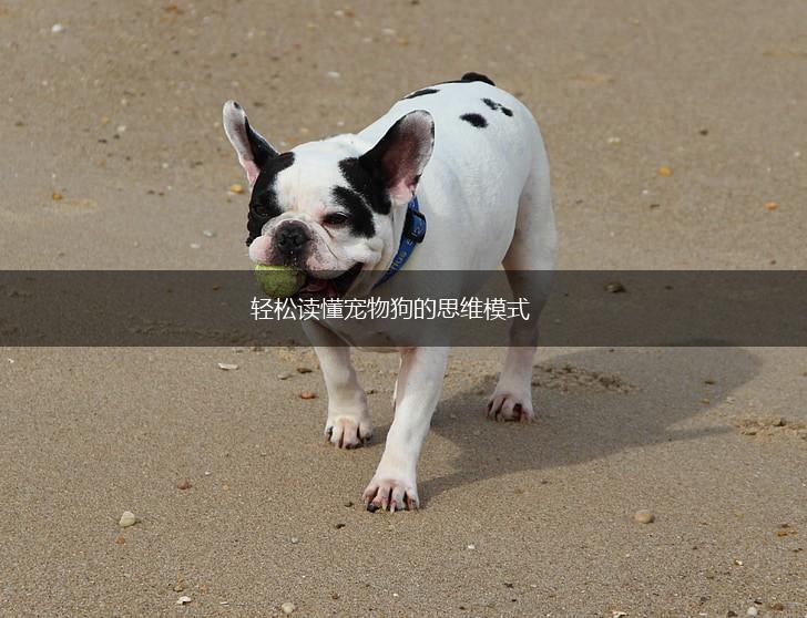 轻松读懂宠物狗的思维模式,第1张