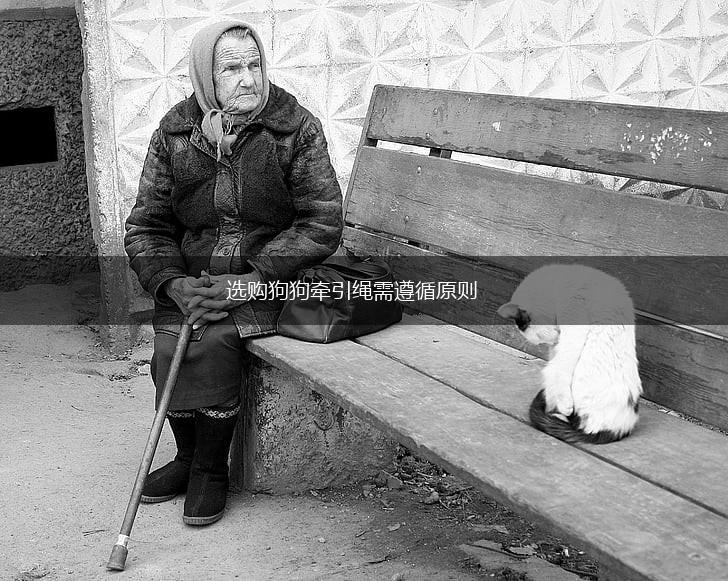 选购狗狗牵引绳需遵循原则,第1张