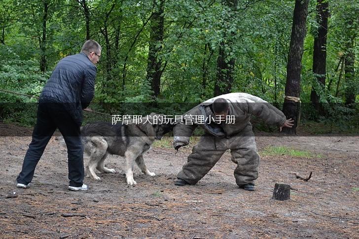 萨摩耶犬的玩具管理小手册,第1张