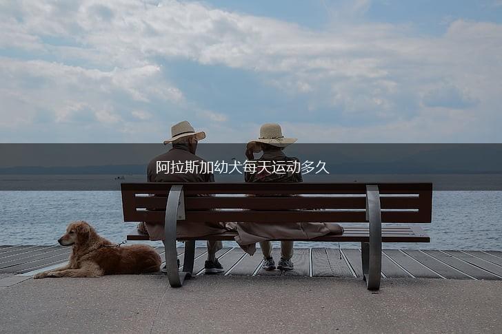 阿拉斯加幼犬每天运动多久,第1张