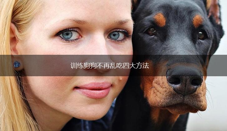 训练狗狗不再乱吃四大方法,第1张 训练狗狗不再乱吃四大方法,第1张