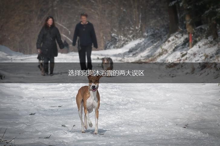 选择狗狗沐浴露的两大误区,第1张