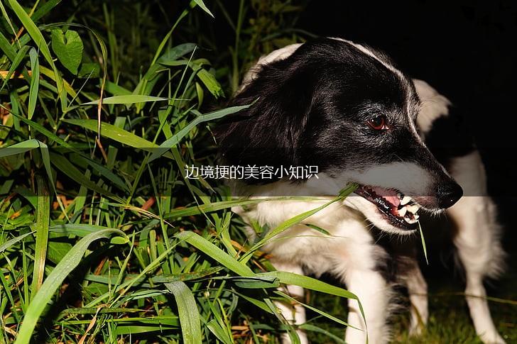 边境挭的美容小知识,第1张