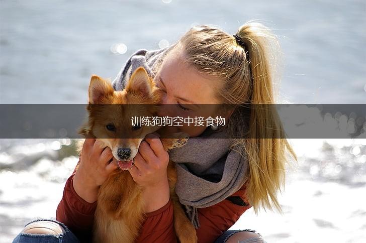 训练狗狗空中接食物,第1张