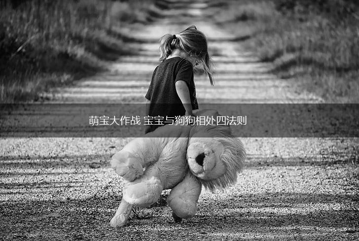 萌宝大作战 宝宝与狗狗相处四法则,第1张 萌宝大作战 宝宝与狗狗相处四法则,第1张