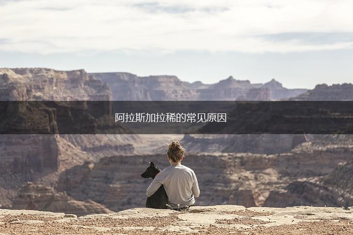 阿拉斯加拉稀的常见原因,第1张