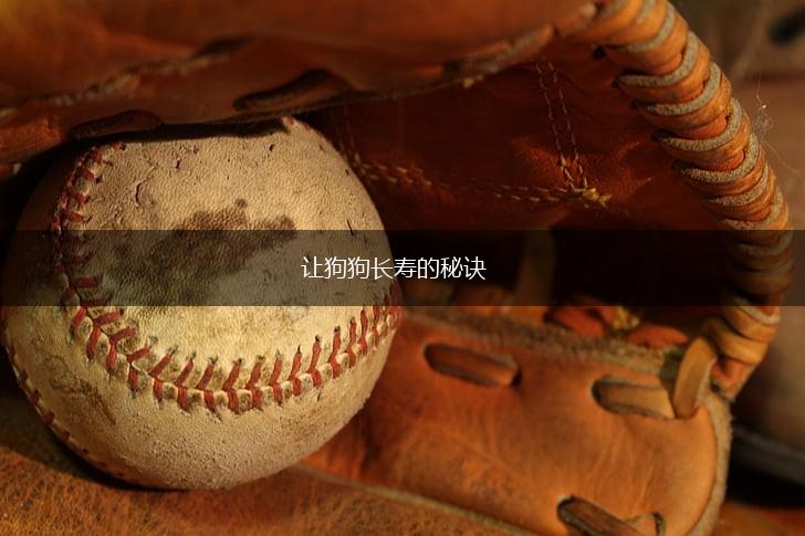 让狗狗长寿的秘诀,第1张