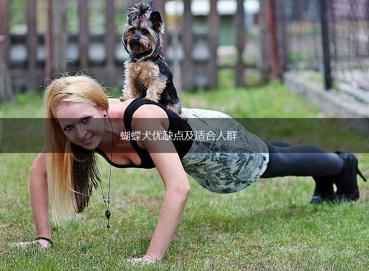 蝴蝶犬优缺点及适合人群,第1张