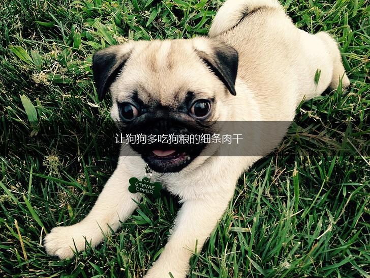 让狗狗多吃狗粮的细条肉干,第1张