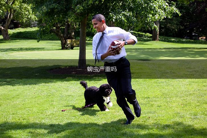 蜱虫严重吗,第1张