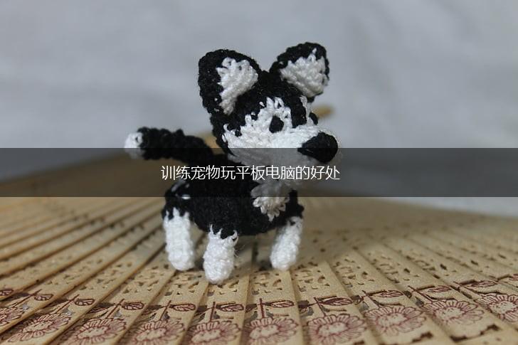 训练宠物玩平板电脑的好处,第1张
