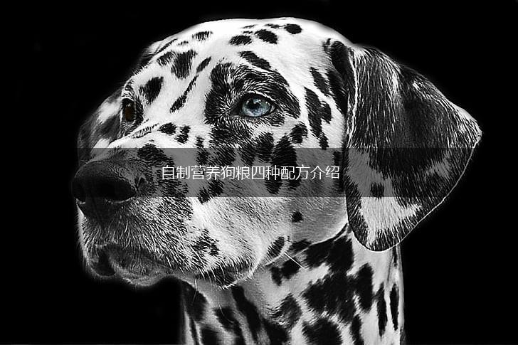 自制营养狗粮四种配方介绍,第1张