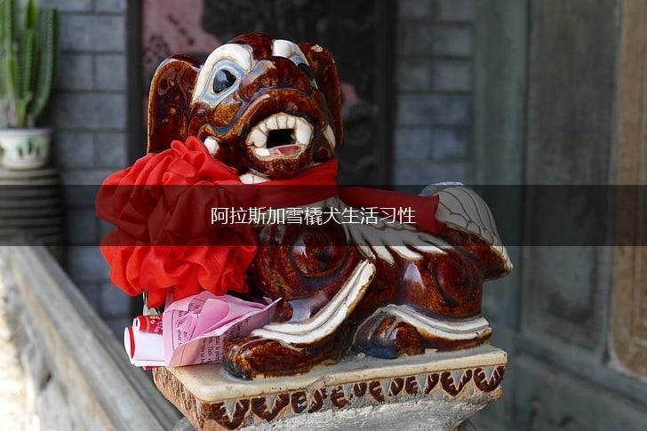 阿拉斯加雪橇犬生活习性,第1张