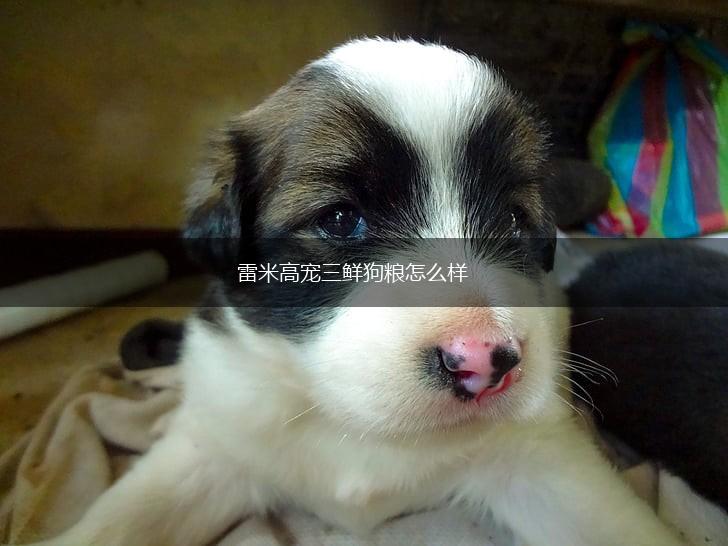 雷米高宠三鲜狗粮怎么样,第1张