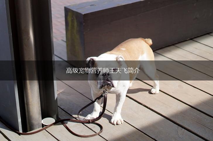 高级宠物营养师王天飞简介,第1张