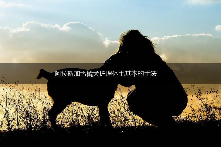 阿拉斯加雪橇犬护理体毛基本的手法,第1张