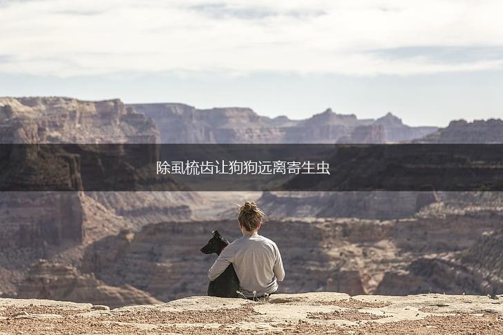 除虱梳齿让狗狗远离寄生虫,第1张