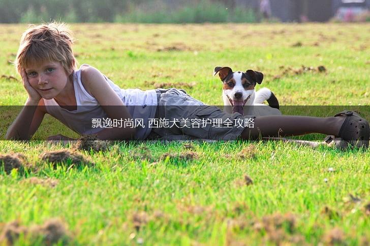 飘逸时尚风 西施犬美容护理全攻略,第1张