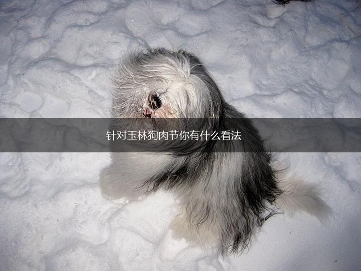 针对玉林狗肉节你有什么看法,第1张