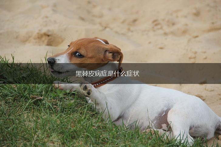 黑棘皮病症是什么症状,第1张